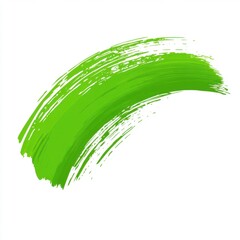 Leinwandbilder -  Green brush strokes, vector illustration on a white background.