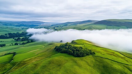 Poster - Misty Morning Over Rolling Hills Covered in Green Landscape