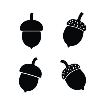 acorn icon simplified oak nut designs graphic illustration, minimalist style, vector art