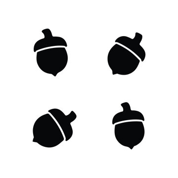 acorn icon simplified oak nut designs graphic illustration, minimalist style, vector art