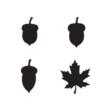 acorn icon simplified oak nut designs graphic illustration, minimalist style, vector art
