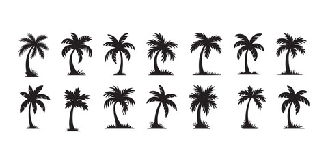 set of black silhouettes of a palm tree, silhouette of a palm tree isolated , Black palm trees set isolated on white background. Palm silhouettes. Design of palm trees for posters, banners .