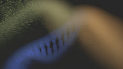 Poster - Abstract light patterns with motion blur and vibrant colors in nighttime