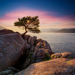 Wall Mural - Tree on the rocks stunning landscapes are 