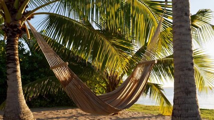 Aufkleber - Sunlight filters through palm trees onto an empty hammock gently swinging on a tropical beach, creating a relaxing slow motion scene of idyllic vacation