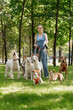 © MyJuly - young woman Professional dog walker or pet sitter walks a pack of cute dogs of different breeds and rescue dogs on leash on city street. happy animals with their owner in park, training