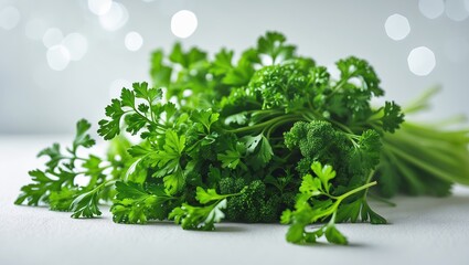 Poster - fresh green cilantro displayed on a white surface with soft bokeh background in a well-lit kitchen s