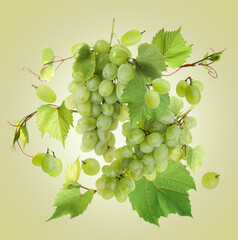 Wall Mural - Fresh grapes in air on light green background