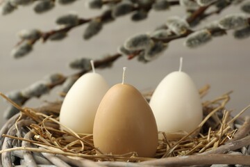 Wall Mural - Egg-shaped candles in nest and willow branches on light gray background, closeup. Easter decor