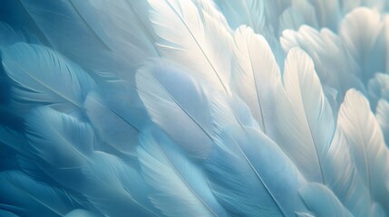 Poster - Close-up of soft, blue feathers, creating a serene and tranquil atmosphere. Light and shadow play across the delicate texture. Serene Blue Feathers: A Textured Symphony of Light and Shadow