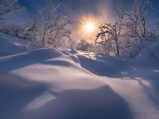 Aufkleber - Sun shining through snow-covered trees in a winter landscape.
