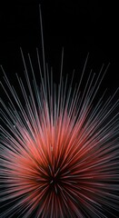 Poster - Abstract Burst of Light: A Radiating Explosion of Color