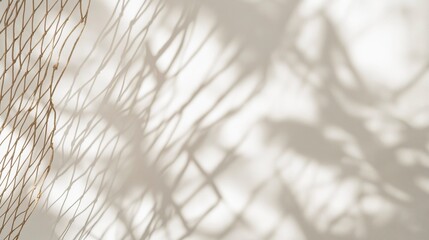 Abstract background with the shadow of a net on a white wall, with light and soft tones, in a minimalistic style, focusing on texture and shape, with clear edges for text or product display,