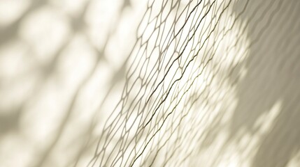 Abstract background with the shadow of a net on a white wall, soft focus, light beige and gray, simple and elegant style, high resolution, high detail, sharp edges, high quality 