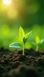 © Jakkapat - Microbial-enhanced fertilizer improves plant health, environment, organic, bio stimulants