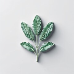 Wall Mural - sage leaf icon on plain white background