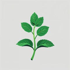 Wall Mural - spearmint icon on plain white background