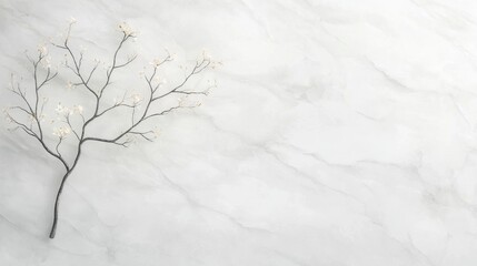 Poster - Delicate nature scene featuring a simple branch on elegant marble background artistic photography calm atmosphere close-up view minimalist concept for tranquility