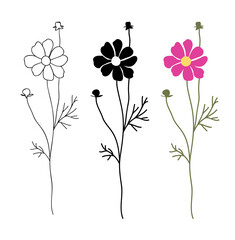 Aufkleber - Flower icon. Set of decorative color garden cosmos with bud and leaves silhouette isolated on white. Vector stock illustration.	