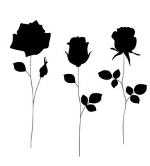 Aufkleber - Flower icon. Set of decorative garden rose with bud and leaves silhouette isolated on white. Vector stock illustration.	