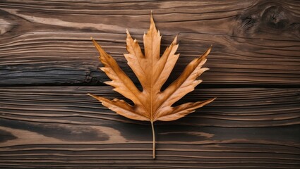 Poster - Dried maple leaf on rustic wooden background flat lay arrangement shot