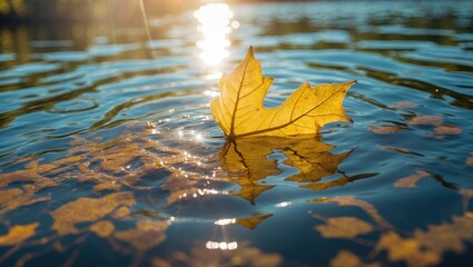 Poster - yellow autumn leaf floating on water surface with reflections and sunlight glimmering in the backgro