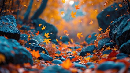 Poster - Autumn forest pathway with colorful falling leaves and rocky terrain under soft natural light.