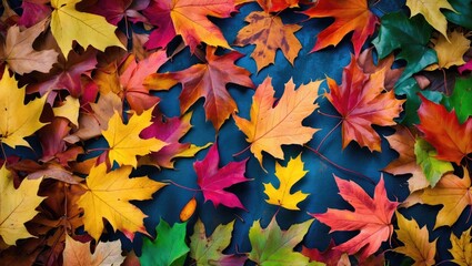 Poster - Colorful autumn leaves scattered on a dark surface displaying a variety of shapes and vibrant colors in a natural setting.