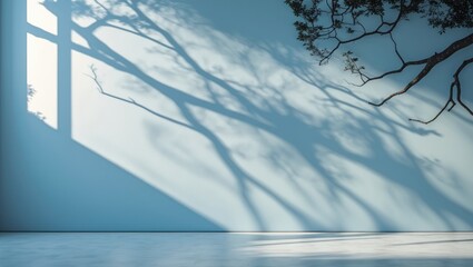 Poster - Shadows of tree branches projected on a blue wall with sunlight illuminating a minimalist interior space