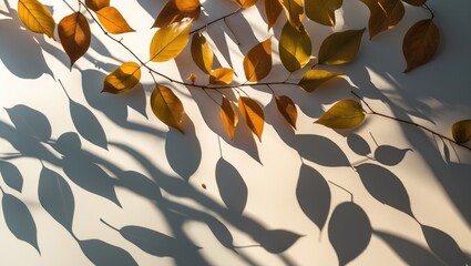Poster - Autumn leaves casting intricate shadows on a light surface creating abstract shapes and patterns in natural light