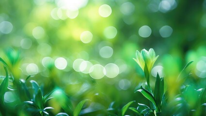 Poster - Green blurred background with fresh leaves and bright bokeh lights representing nature and spring season.