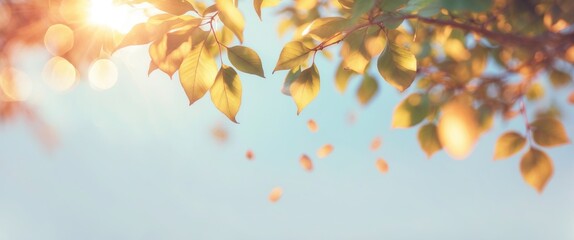 Poster - Bright sunlight filtering through green leaves with soft bokeh and floating leaves in a tranquil outdoor setting.