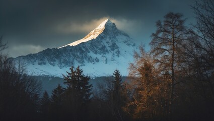 Poster - Snow-capped mountain peak under dramatic cloudy sky with silhouette of trees in foreground during twilight hours
