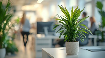 Poster - Minimalist and Organized Office Desk Setup with Lush Green Plant Decor and Blurred Background of Office Workers