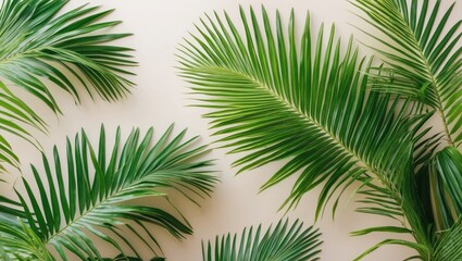 Poster - Lush Green Palm Leaves Against A Neutral Background Ideal For Banners And Text Overlays In Tropical And Natural Designs