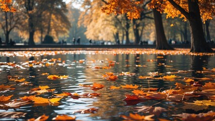 Poster - Autumn leaves gracefully floating on tranquil water surface in a sunlit park creating a serene and colorful seasonal landscape.
