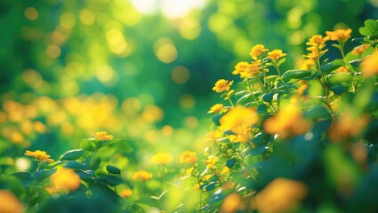 Poster - Yellow flowers in a green garden with soft bokeh background representing nature and spring ambiance
