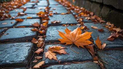 Poster - Autumn leaves scattered on a stone pathway creating a picturesque fall scenery ideal for seasonal themes and nature-inspired designs