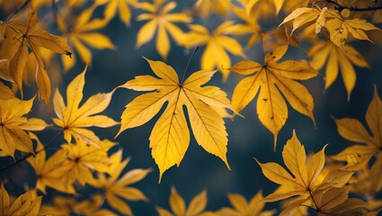 Poster - Golden autumn leaves creating a vibrant seasonal backdrop with a mix of warmth and tranquility in nature's lush environment.