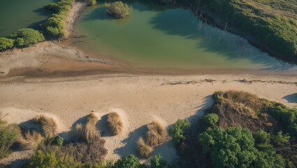Poster - Aerial view of a sandy beach with green water and coastal vegetation under bright sunlight. Natural landscape with riverbank details.