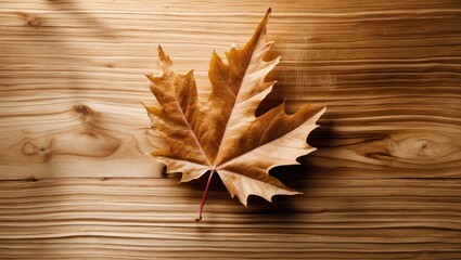 Poster - Dry maple leaf placed on wooden surface background, autumn nature seasonal concept, top view close-up detail.