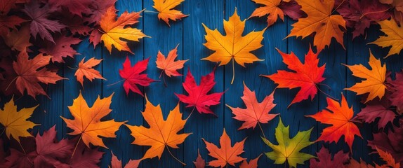 Poster - Colorful autumn maple leaves arranged on a blue wooden background creating a vibrant seasonal pattern and decorative texture.