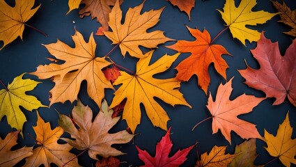 Poster - Vibrant autumn leaves in rich fall colors showcasing the beauty of the seasonal transformation amidst a dark background.