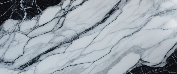 Poster - black and white marble stone surface with intricate veining patterns suitable for backgrounds and te