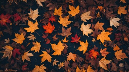 Poster - Colorful autumn leaves scattered on the ground creating a natural textured background in warm tones of orange yellow and red.