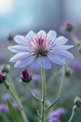 Poster - Close-up of light purple flower with pink center and budding flower in a soft-focus field of greenery and smaller flowers.