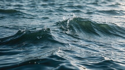 Poster - Calm ocean water waves with subtle ripples and reflections during sunset natural light