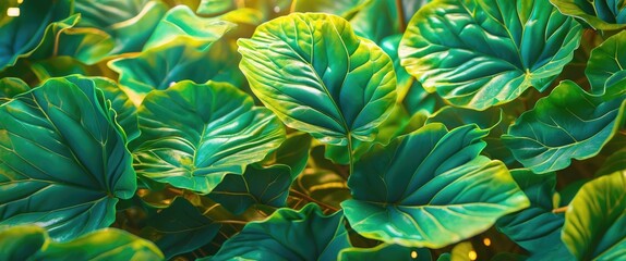Poster - Lush green tropical leaves with intricate textures and vibrant colors illuminated by soft natural lighting
