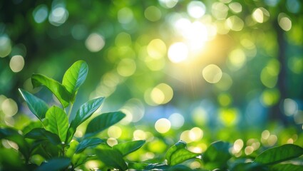 Poster - Close-up of green leaves with sunlight and bokeh effect in a natural outdoor setting during daytime for a vibrant nature background