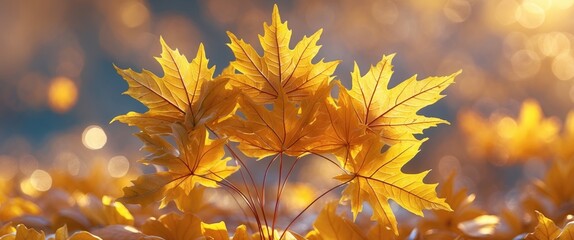 Poster - Close-up of vibrant golden autumn maple leaves with soft bokeh background illustrating seasonal change and natural beauty.